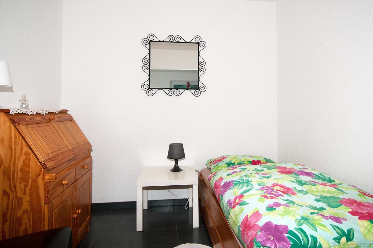 Landhotel Alte Muehle Modautal Dış mekan fotoğraf