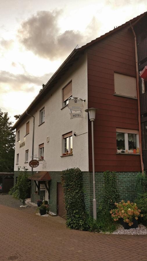 Landhotel Alte Muehle Modautal Dış mekan fotoğraf